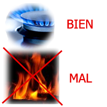 Llama de combusti�n de gas