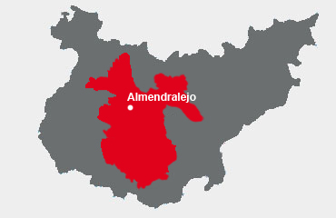 Zona de distribuci�n